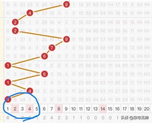大乐透走势图红蓝走势图,趋势分析及预测