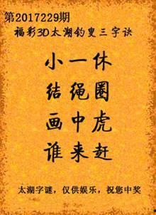 3d太湖字谜高手,破解谜题的艺术之旅