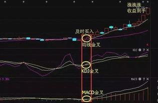 3d双胆必下一最准公式,精准预测，稳中求胜
