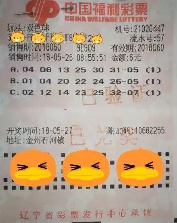 双色球生肖幸运选号器,揭秘生肖选号器的神奇魅力